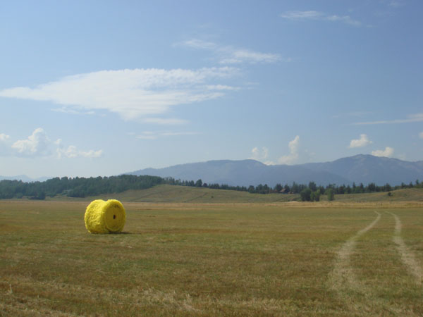 Silage, 52"x48"x52", reclaimed and manipulated water barrier fabric, cotton fabric, found spool, knitting technique, Teton County, Wyoming, 2011