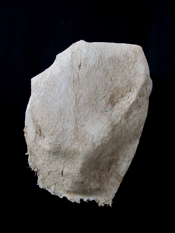 ight Side Dominant, varies, beaten kozo fibre, handmade kozo paper, wire, wire mesh, natural glues, photo: Megan A. Skyvington.