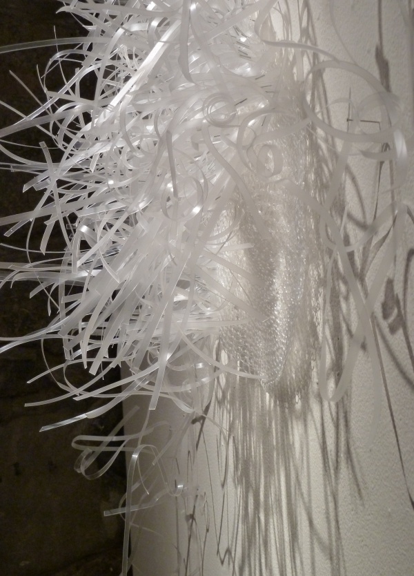 Lucid (detail), plastic banding, staples, monofilament, shadow & light, installation: Port Angeles Fine Lucid (detail), plastic banding, staples, monofilament, shadow & light, installation: Port Angeles Fine Art Center, WA, photo: Barbara De Pirro

