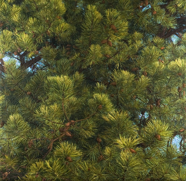 Scots Pine, 48" x 48", 2009, Materials: Digital image on cotton, archival pigment based inks, unbleached cotton, Setacolor fabric paints, assorted threads, cotton batting, Techniques: Digital photo transfer, fabric painting, quilting, Photo: Carolyn Pihach. 