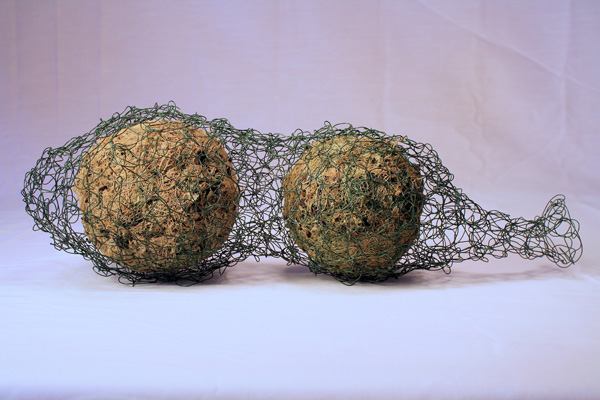 Caught, wool, lichen, wire, 2012, 4" x 14" x 5", hand-felted, crocheted. Photo: Merce Mitchell