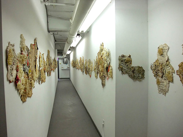 Gorge and Grow, embroidery on handmade paper and fabric with pig intestine, horse and human hair and other materials, variable dimensions, 2010, photo: Takashi Iwasaki