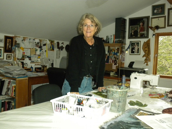 Artist Susan Strachan Johnson