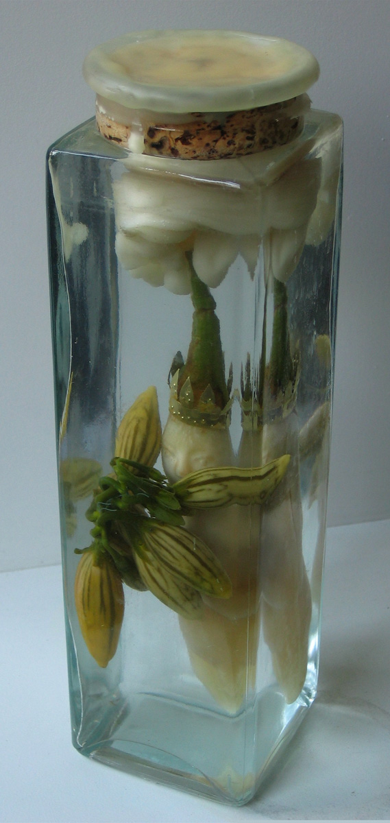 Product of Eden, 2007, eggplants, brass, brine, beeswax, glass jar, 10 x 2.75 x 2.75"