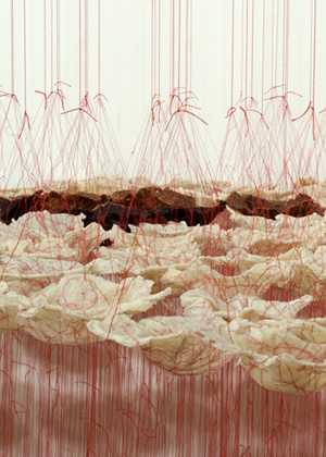 Rice is Life, detail, sushi, red & black rice, threads, 2014, tied threads, cooked rice. Photo: David Broda.