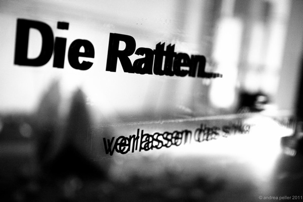 The rats... (1, 2 & 3), different sized ships made of paper: 5cm x 5cm to 15cm x 15cm, and on hand felted ship about: 50cm x 100cm, felt made of Merino Wool, Cotton Fabric and transfer print, Photo: Andrea Peller, 2011
