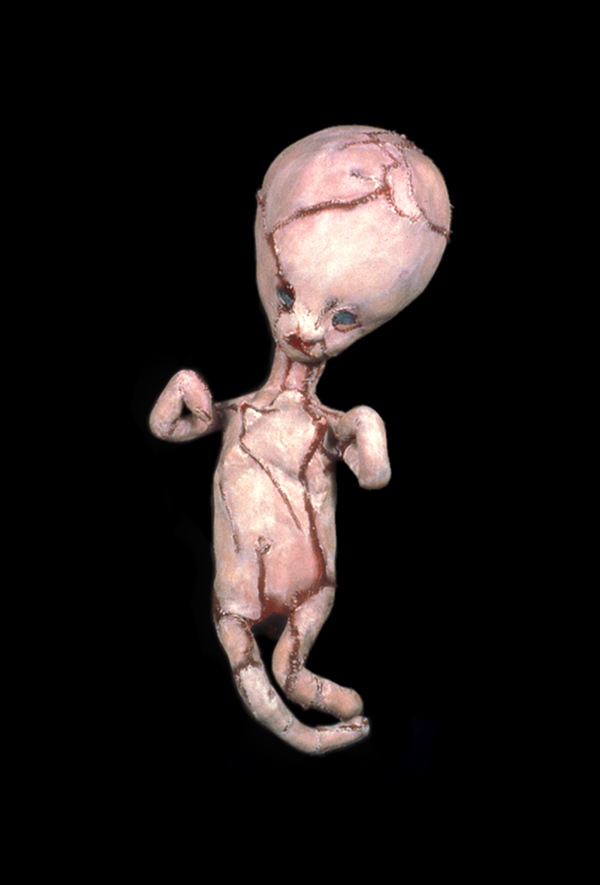 The Casebook Series, 17" x 8" x 5", 1993, painted silk over wool, wire, wood armature. One from a series of nine Collection: Canada Council Art Bank. Photo: Simon Glass