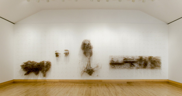 What It Is I Came for, I Turn and Turn, Part VI, 2004, 244 x 915 x 36 cm, sticks of incense, photo: Cheryl O'Brien