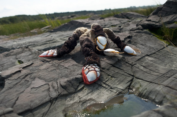 from the flotsam / jetsam series, #0066, 2011, digital print, St Paul Joli, Quebec