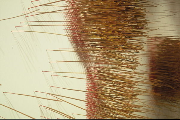 What It Is I Came for, I Turn and Turn, Part VI, 2004, 244 x 915 x 36 cm, sticks of incense, photo: Cheryl O'Brien