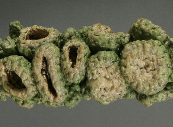 Catkin (detail), crocheted fiber, acrylic & steel, photo: Richard Nicol.
