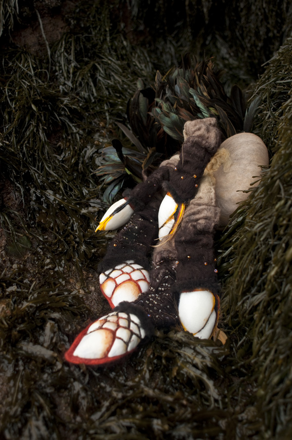 from the flotsam / jetsam series, #0095, 2011, digital print, Bay of Fundy National Park, New Brunswick