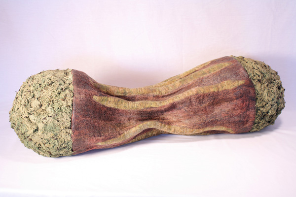 Double Spurge, wool, natural dyes, lichen, beeswax, 2012, 10" x 37" x 12", hand-felted, encaustic. Photo: Merce Mitchell