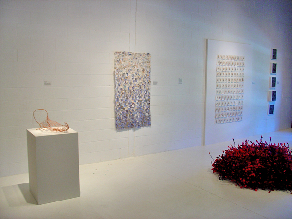 Platonic Landscape, Barbara Wisnoski, installation view, World of Threads Festival 2009, Common Thread International Part 3