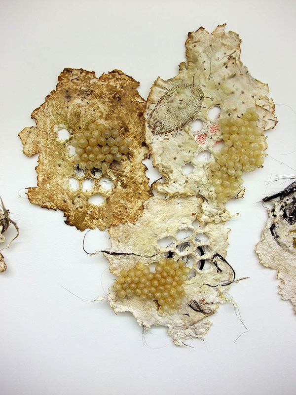 Gorge and Grow (detail), embroidery on handmade paper with pig intestine, horse and human hair and other materials, variable dimensions, 2010, photo: Takashi Iwasaki