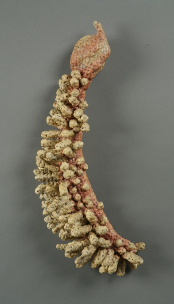 Quill, Crocheted Fiber & Acrylic, photo: Richard Nicol