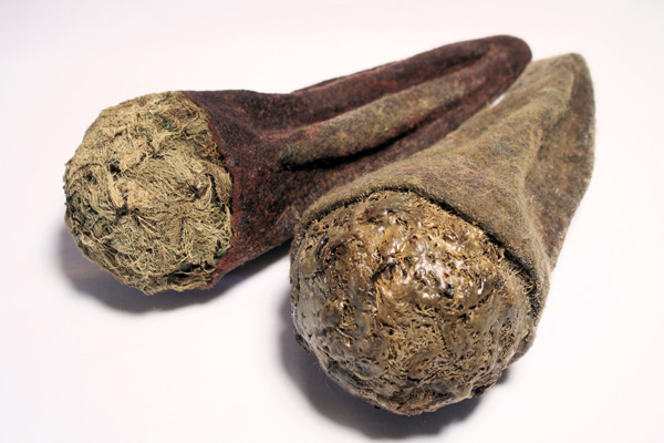 Small Spurges, wool, beeswax, lichen, 2012, 5" x 13" x 5", hand-felted, encaustic. Photo: Merce Mitchell