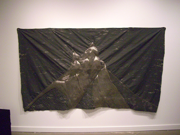 Anxiety, Fabric, gesso, pins, 2010,10ft x 5ft, sewing. Photo: Shanell Papp.