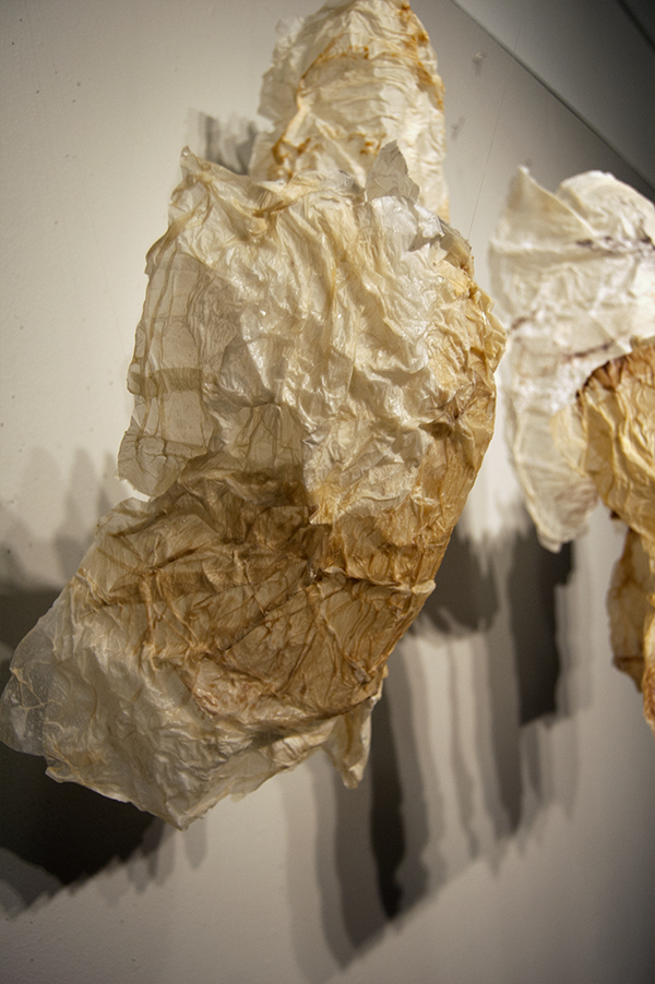 I'm Writing This Letter piece, 2011, ~60 H x 90 W x 30 D cm (size variable depending on installation), stiffened tissues, wax, oil pastels. Technique: fiber stiffening, encaustics, photo: Megan Bostic