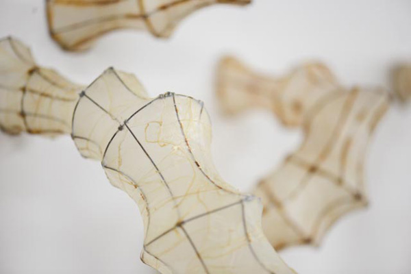 Detail: "Orifices", Wire, hog casings, 36" x 36" x 15", 2012.