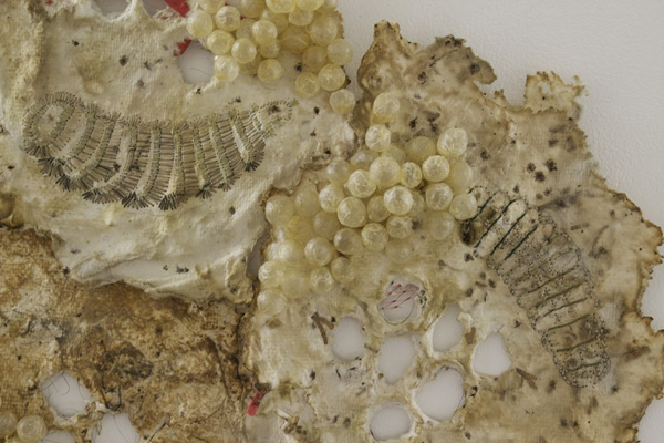 Gorge and Grow (detail), embroidery on handmade paper with pig intestine, horse and human hair and other materials, variable dimensions, 2010, photo: Lasha Mowchun