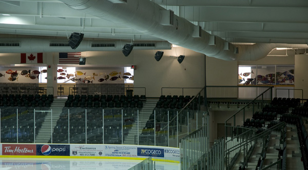 Fish From Rink, Cobourg Community Centre, 2011, Photo credit: Mark Vander Vennen