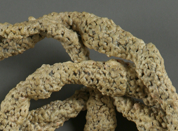 23_depirro_encircle.detail