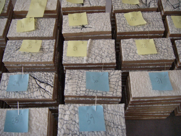 Process 400 squares, Photo: Kerstin Bennier, Material, etc. Please find by 400 squares