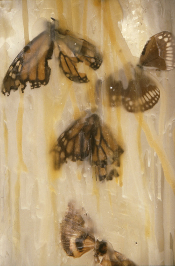 Threshold Detail, mixed media, 2002