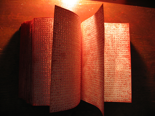 Testaments, 2006 note book, needle, red pigment (15" x 20")