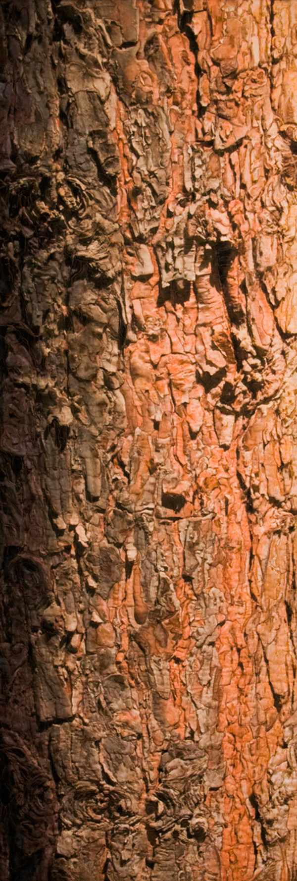 Scots Pine 2, 22" X 63"  2009,  Materials: Digital image on cotton, archival pigment based inks, unbleached cotton, Setacolor fabric paints, assorted threads, cotton batting, Techniques: Digital photo transfer, fabric painting, quilting, Photo: Carolyn Pihach