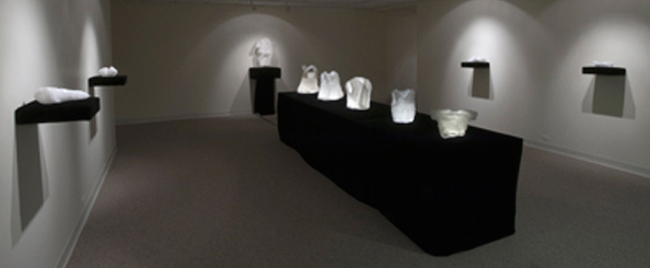 Crystal, alum, velvet, 2009, grown crystals, installation: Ann Felton Multicultural Center, Syracuse, New York, USA , photo: David Broda.
