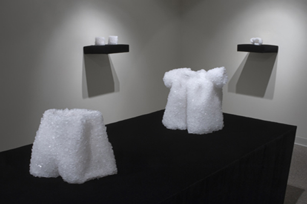 Crystal, view from second room, alum, velvet, 2009, grown crystals, installation: Ann Felton Multicultural Center, Syracuse, New York, USA, photo: David Broda.