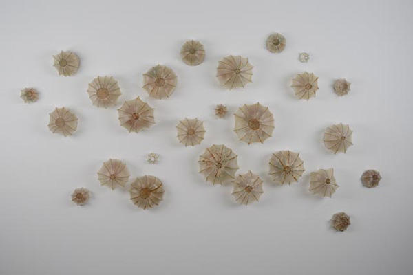 "Tell Me Your Secrets and I'll Tell You Mine", wire, gut, wax, paper, and rusted silk, 42" H x 80" W x 6" D, 2012.