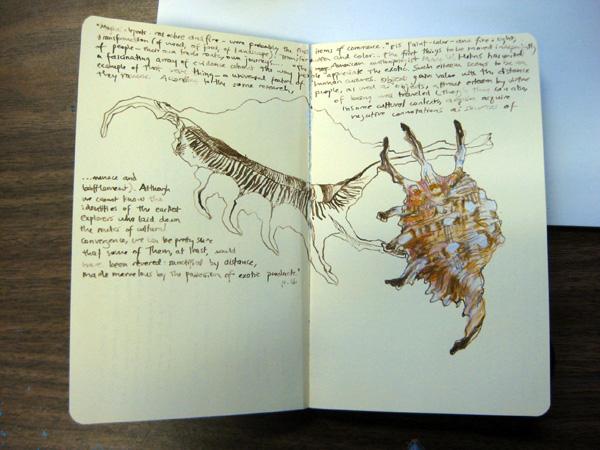 Emily Jan's sketch book.