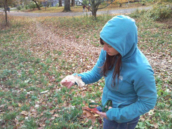 Artist Looking at Leaves