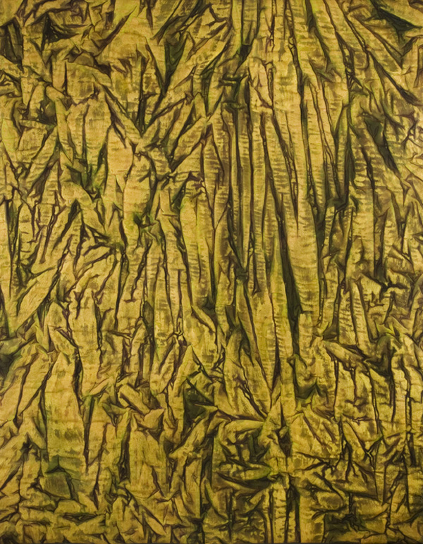 Of the Earth 1.  36.5" X 46.5"  2009, Materials: Unbleached cotton, Setacolor fabric paints, colored pencil, assorted threads, needlepunch polyester batting, Techniques: Fabric painting/manipulating, quilting, Photo: Carolyn Pihach.
 
Exhibited in the 2009 World of Threads Festival in the Common Thread International Exhibition Part 2 