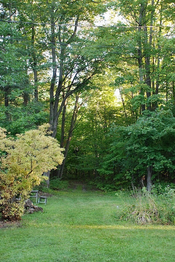 View from Carmella's studio. Photo: Carmella Karijo Rother