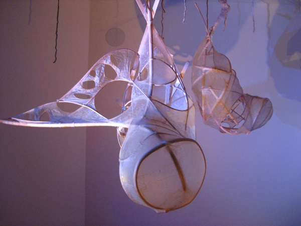 Detail: the Norns, shown at the Alphonse Berber Gallery, Berkeley, CA, as part of New Nature, 2009, dimensions variable, materials: hog gut, reed, zip ties, wool, resin, pumice, light, shadow, techniques: knit, crochet, installation