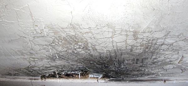 She Speaks Softly, detail, 2010, 10’H x 18’W, alpaca wool, chicken wire, lace, upholstery fabric, plaster, spackle, charcoal, human hair, pastel, gesso, rubber latex. T