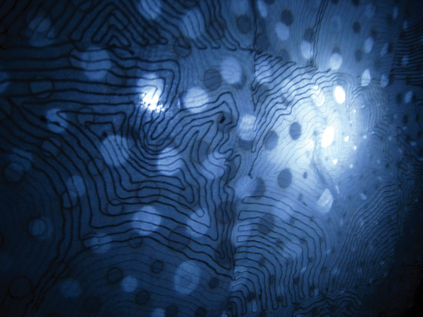 Cycle.Leaf, buckram, silk organza, LED light, gel, incense burning, stitching, 18.5" (w) x 18.5"(h) x 6"(d), photo: Xia Gao