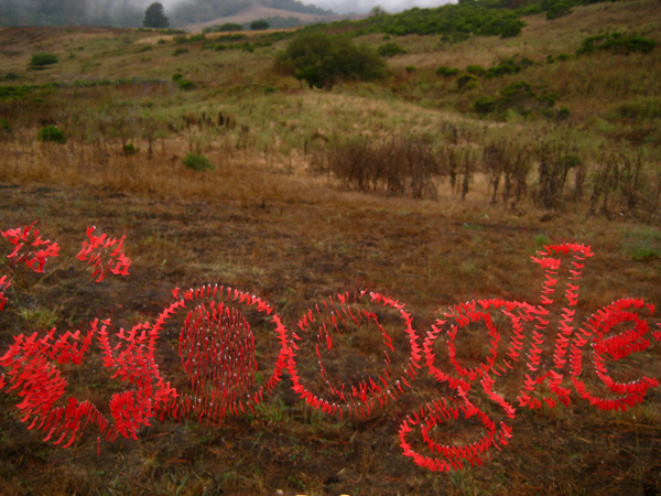 Landed, lutradur, paint, plastic glass, cutting, photography, 21"(w) x 14"(h) x .5" (d), photo: Xia Gao