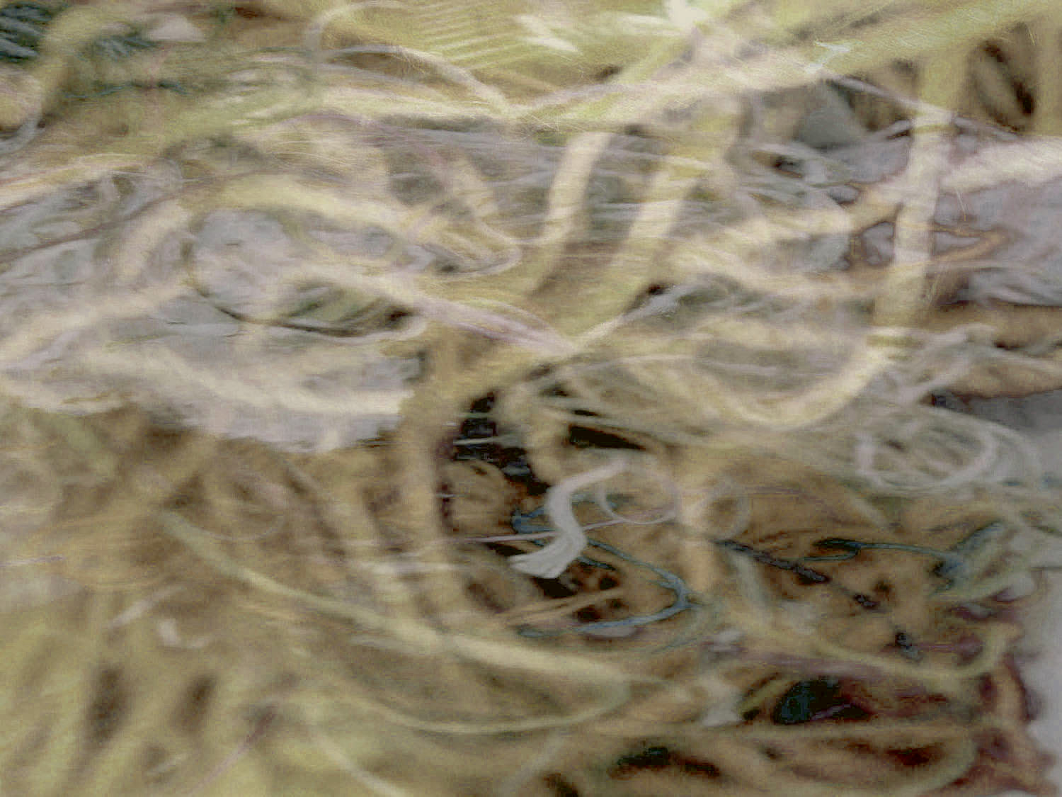 artist_interviews_background4