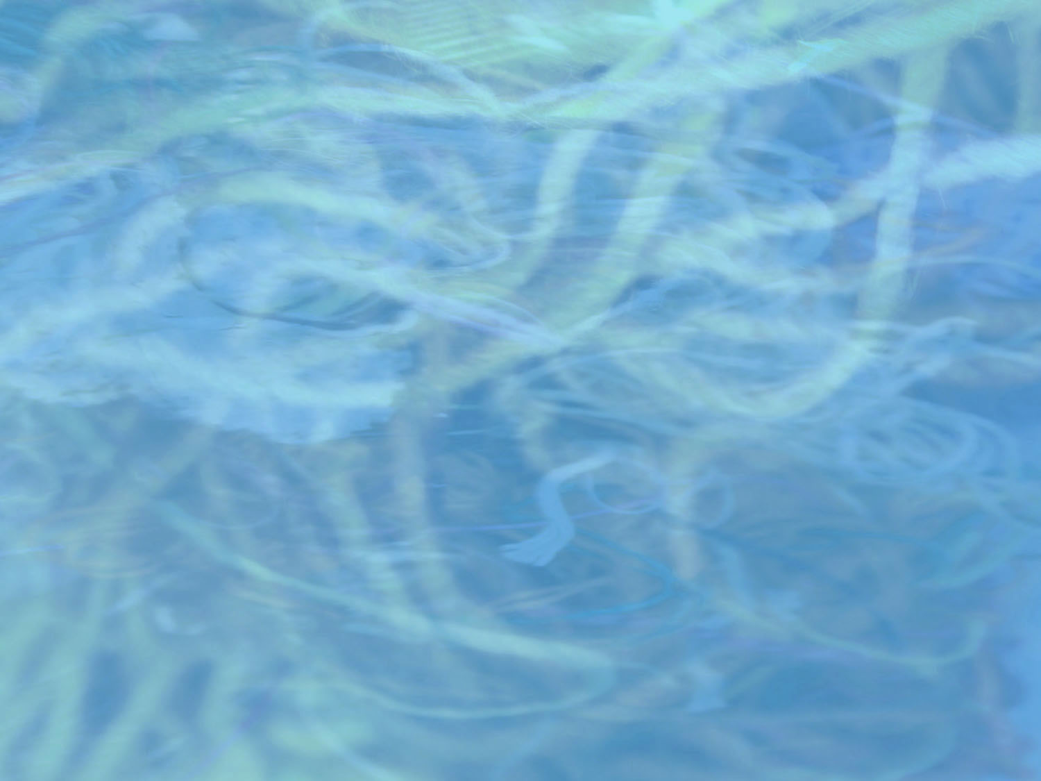 background_bettina 2