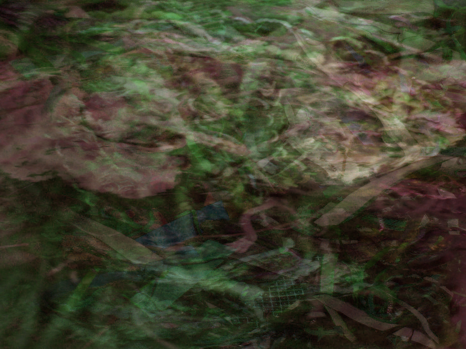 background_hilary_rice