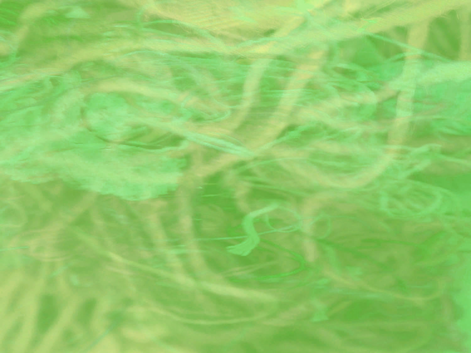 background_judith_tinkle