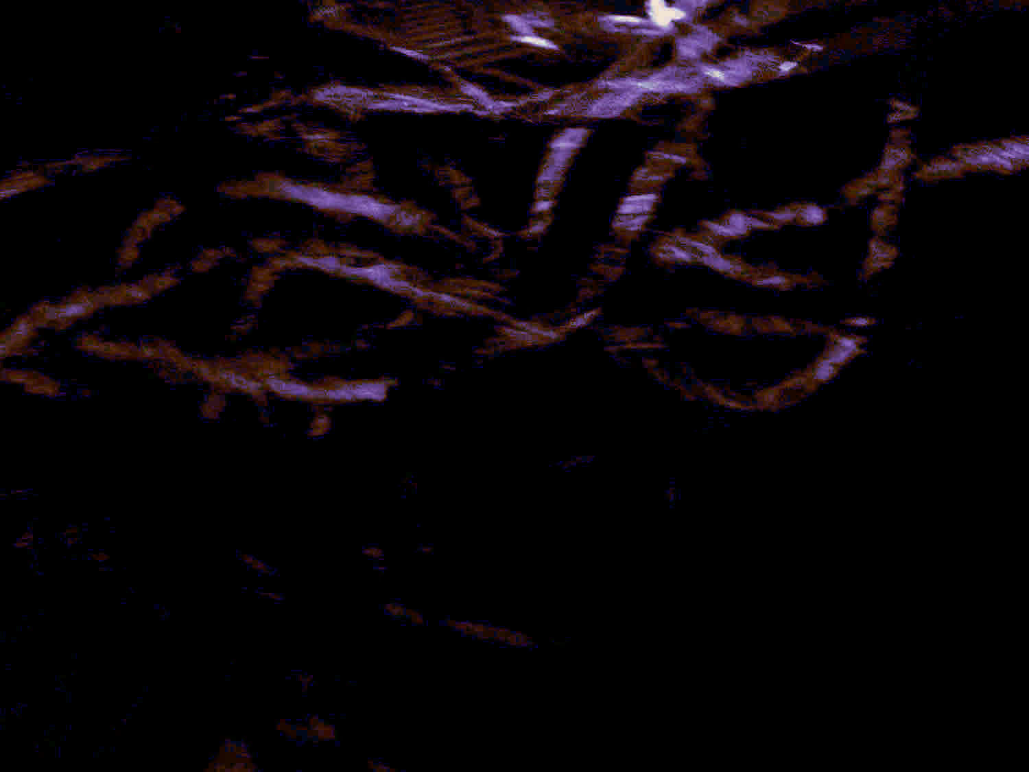 barbara_hilts_background