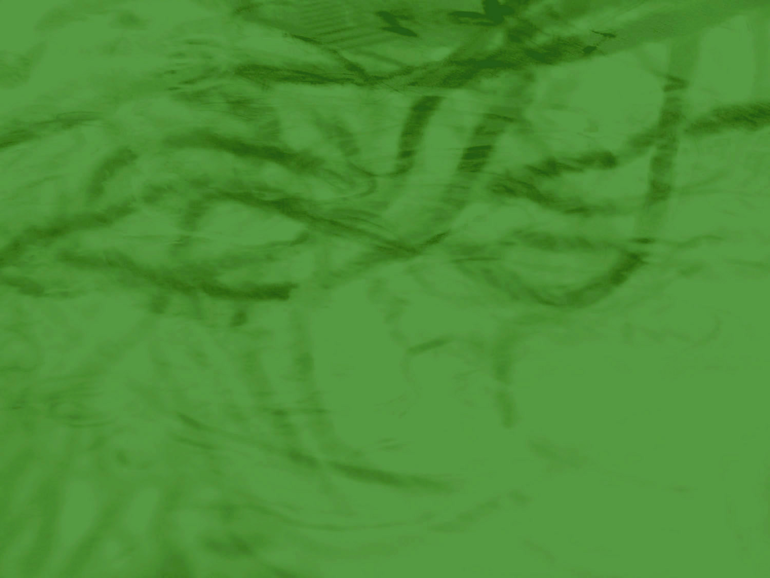 christina_background