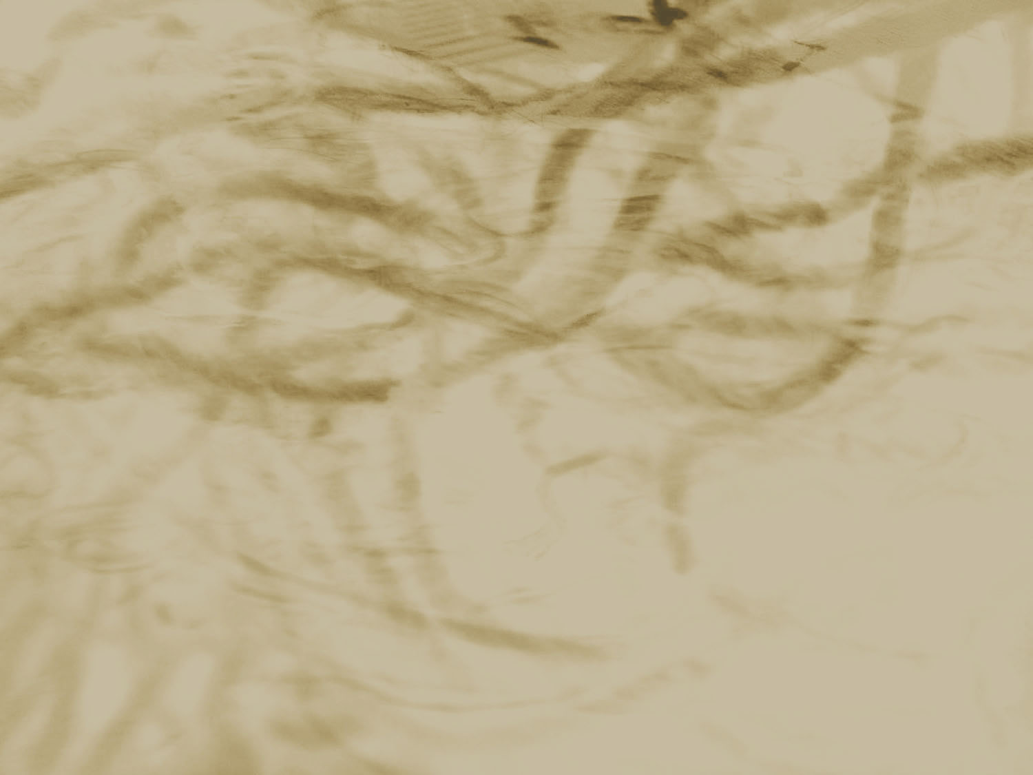 christine_background2