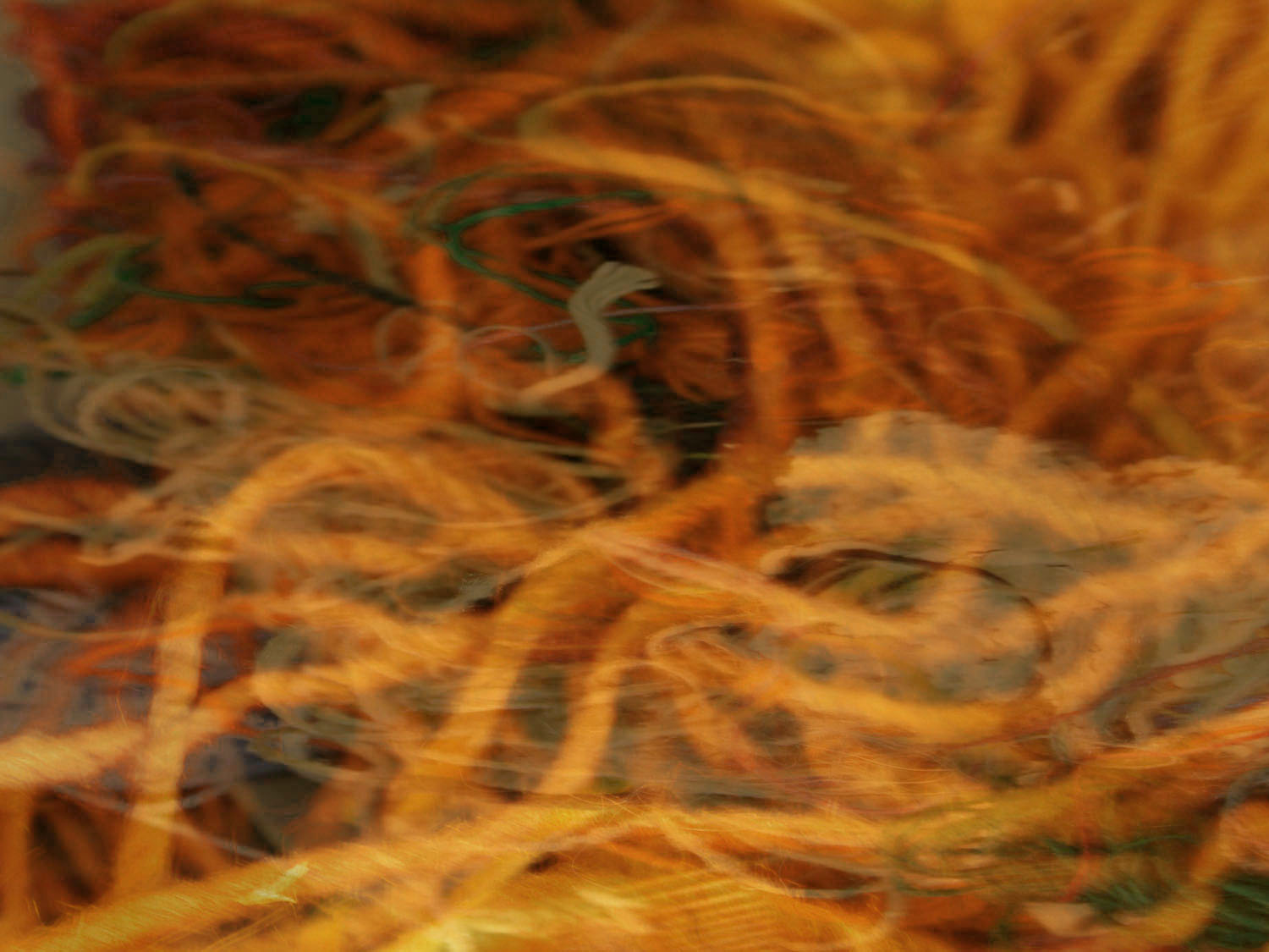 ixchel_suarez_background